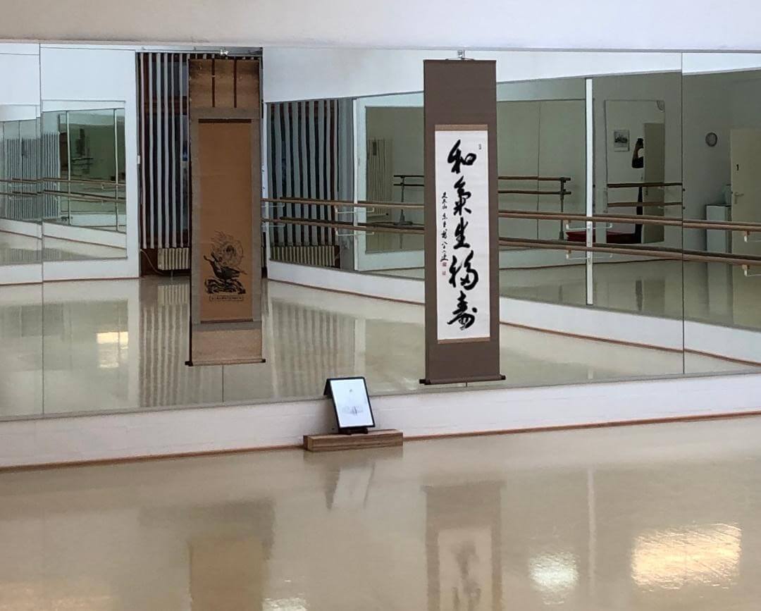 a dojo with mirrors and scrolls
